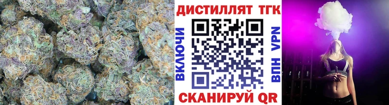 ТГК Wax  Бородино 